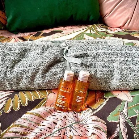 Charming Bright Sunny Near Canal St Martin